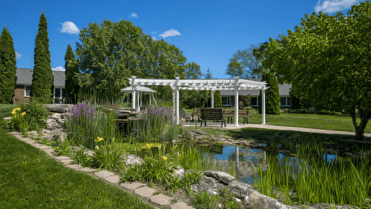 A peaceful garden scene featuring a pond with tall grasses and yellow flowers along the edge, a white pergola with benches underneath, surrounded by lush green trees and shrubs, under a bright blue sky with a few clouds.